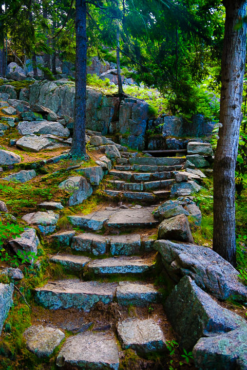 Stone path leading up a hill.
