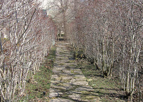 Where do you even begin to cut back on these things?